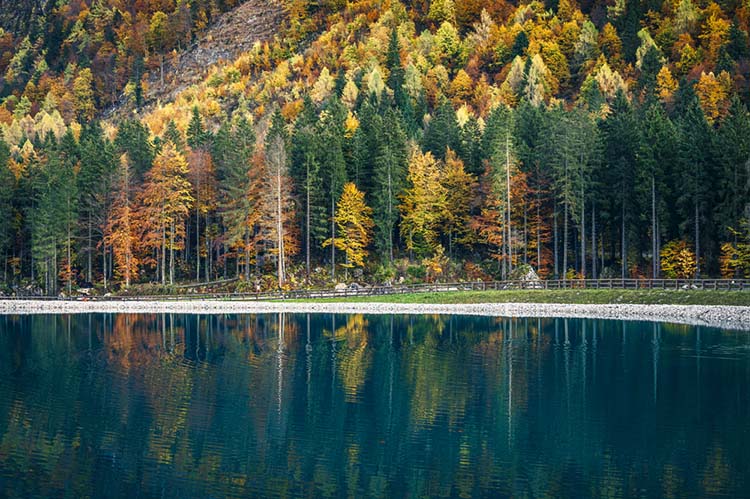 Beautiful Autumn in Val Raccolana in Julian Alps. 