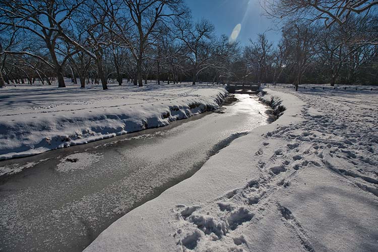 Snow near White Rock Lake, Dallas, Texas.