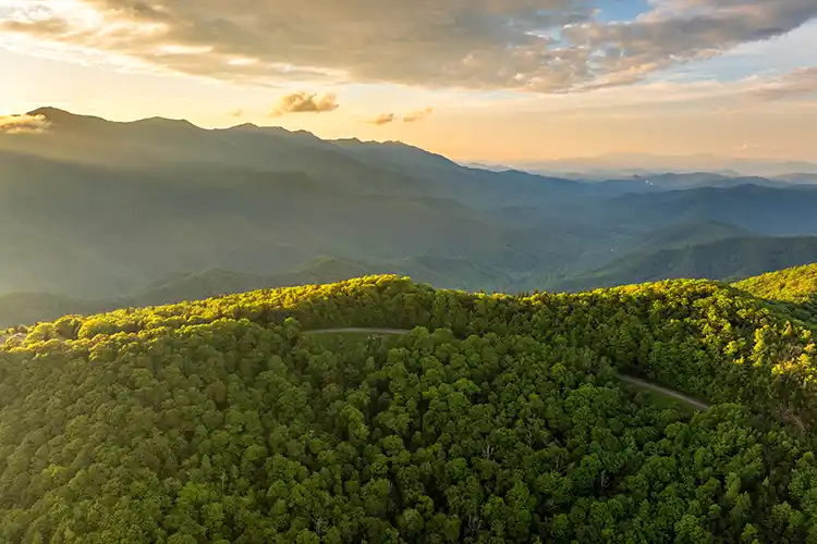 Evening mountain landscape of forest road in North Carolina Appalachians, USA